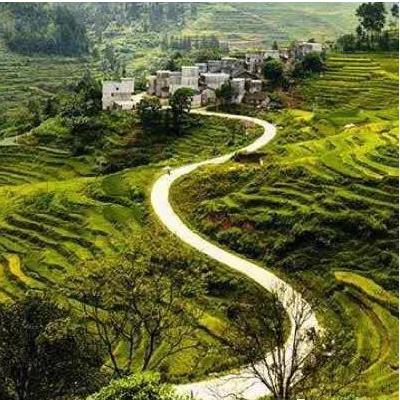 福建和湖南哪个国际