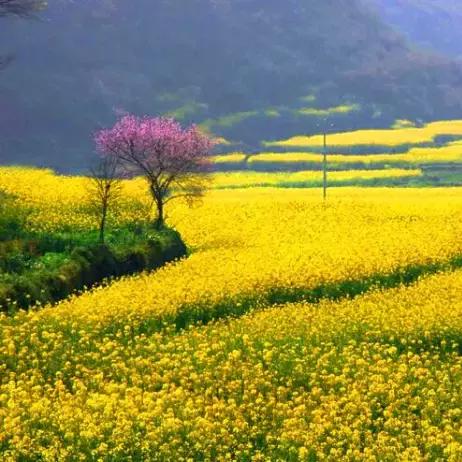 桂林市到青狮潭多久