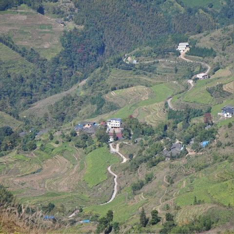 桂林市哪里有大型养鸡场