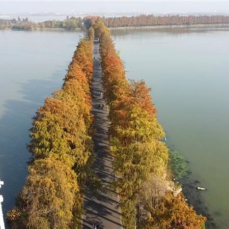 在南宁市东湖绿道怎么走