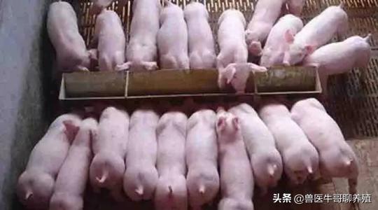 母乳性腹泻需要断奶吗