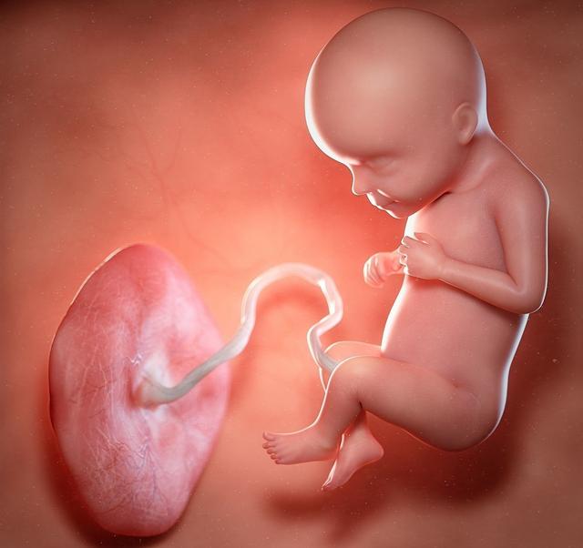 胎动变化可能是胎儿缺氧了