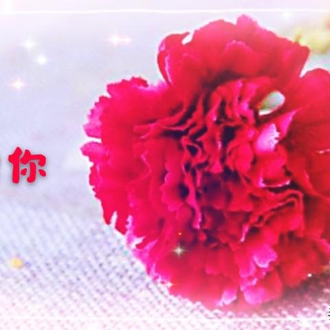【爱天津的儿歌】相关长尾关键词有哪些