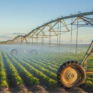 中国农业银行的网站相关长尾关键词有哪些