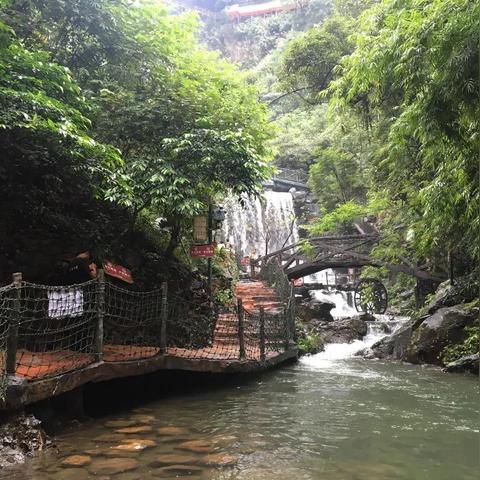 广州市管理九级多少钱