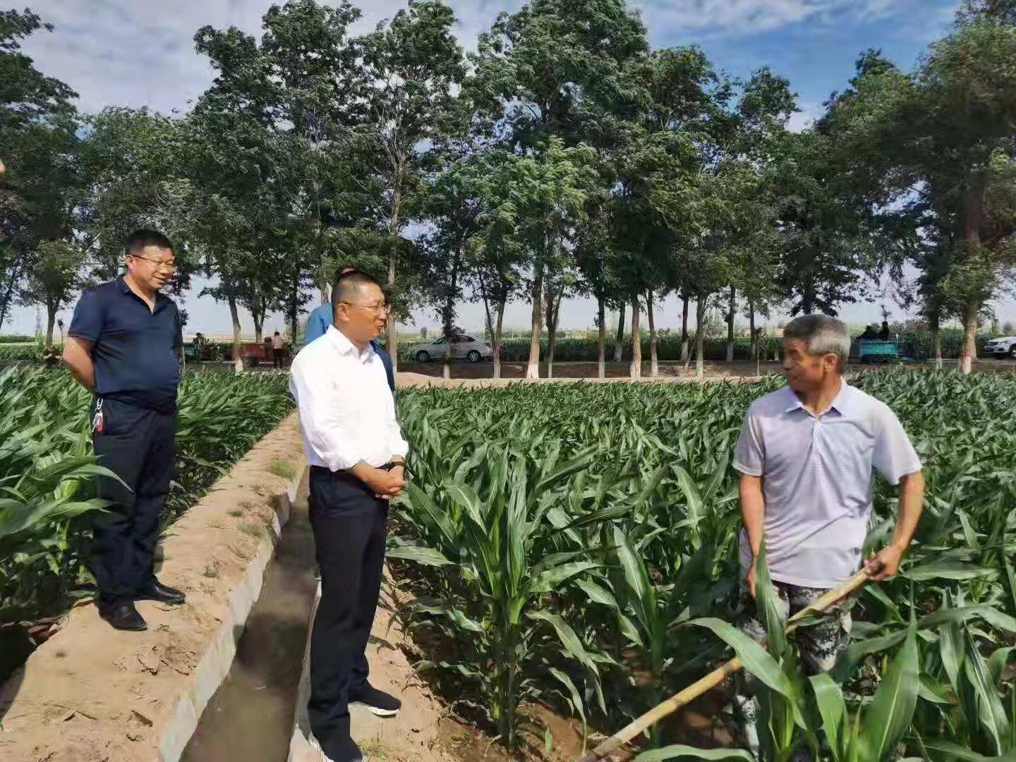 水利论文致谢目前有哪些世界第一的科技产品