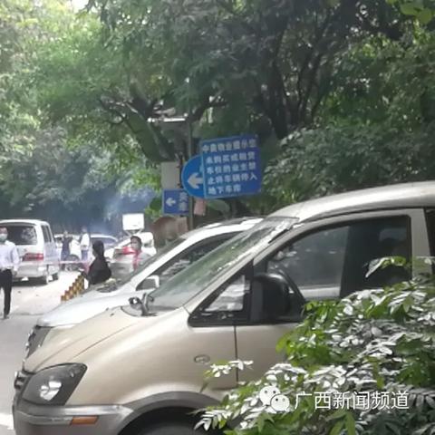 南宁12月坠楼事件的相关长尾关键词有哪些