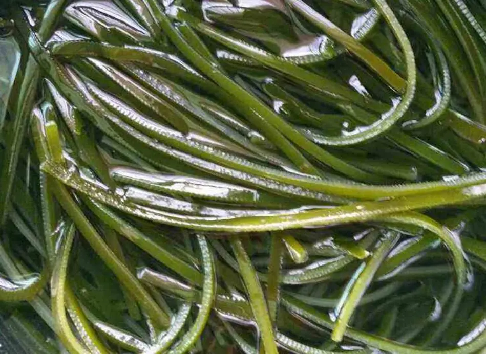 快头条怎么弄 虾皮怎么弄快