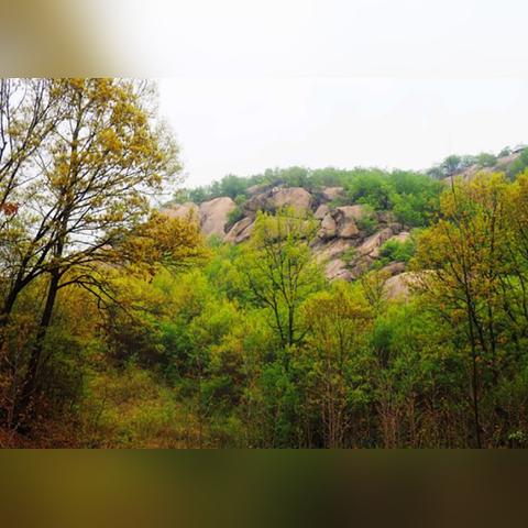 河南焦作属于哪个朝代