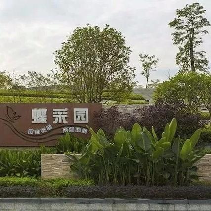 石家庄市绿洲小学正门照片的长尾关键词有哪些