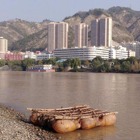 兰州市百合产区在哪里