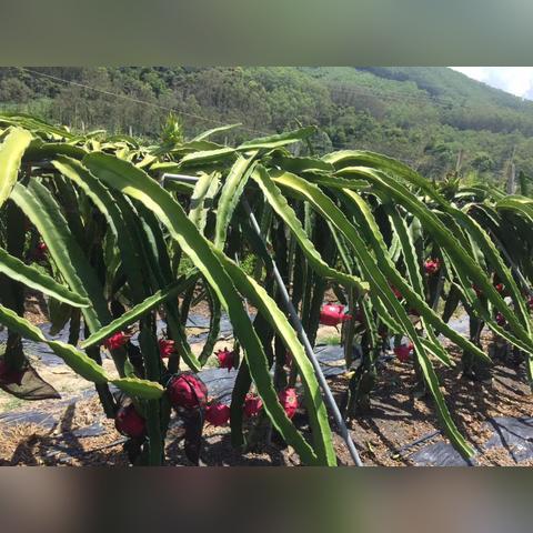 厦门市市政投诉热线是多少
