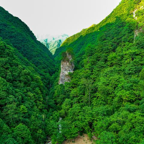河南哪个城市最没有山了