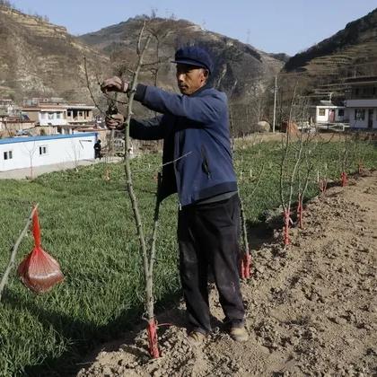 甘肃在外务工人员补贴申请流程？