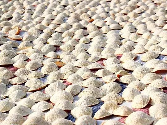 泥巴、果皮都能赚钱？5个不起眼项目背后的1个亿商机