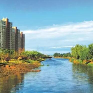 浙江去大连大概需要多少钱？