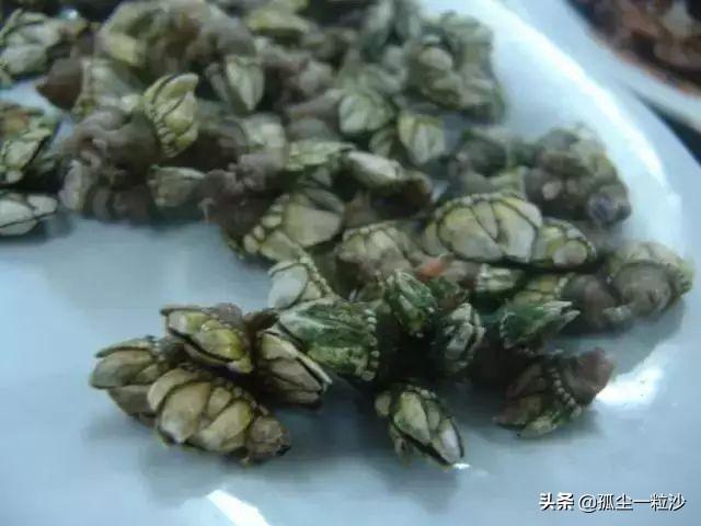 惠东传统美食是什么（你拍的最美的一张图片是哪个景点拍的）