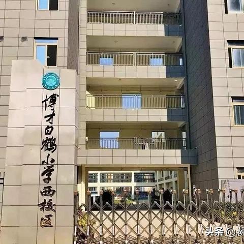 长沙岳麓区小学排名？