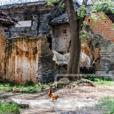 赣州市厚外普通班怎么样