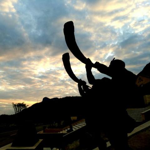 赞美夜的句子大全的长尾关键词有什么