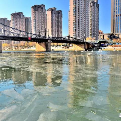 天津海河浮冰怎么样