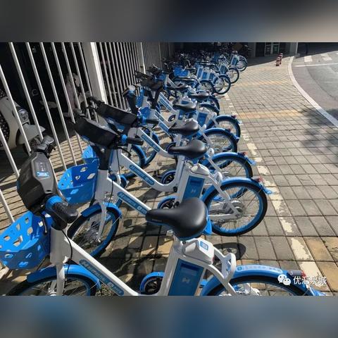 审车费用多少钱济南市