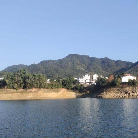 福建高山区适宜种植的果树？