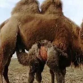 正常足球场多大长宽是多少