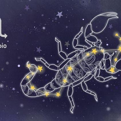 大有玄机十二生肖运势(大有玄机 2020年)