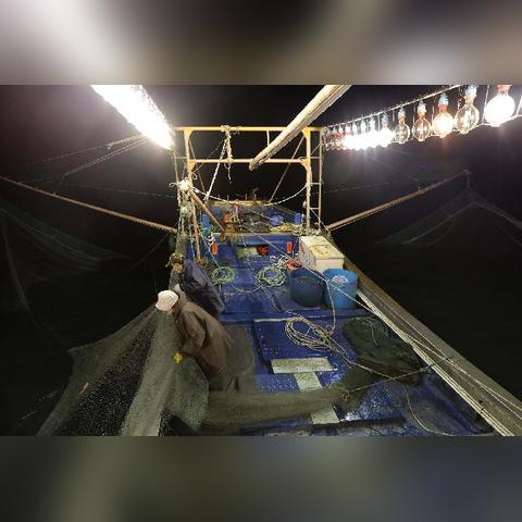 盘点大鹏在上海吃海鲜英文相关关键词有哪些