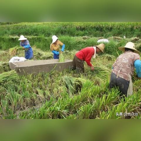 东莞市晶优二手车靠谱吗的长尾关键词有哪些
