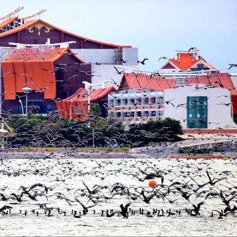 冬天广西哪儿比较暖和？