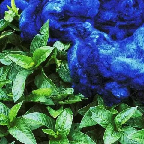 2025.12.24南通今日气温变化情况