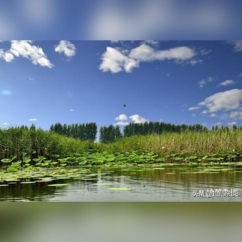 保定市钓鱼地方附近有哪些