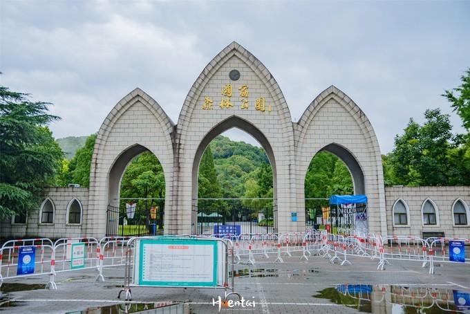 松江区有什么美食（泰晤士小镇有什么美食吗）