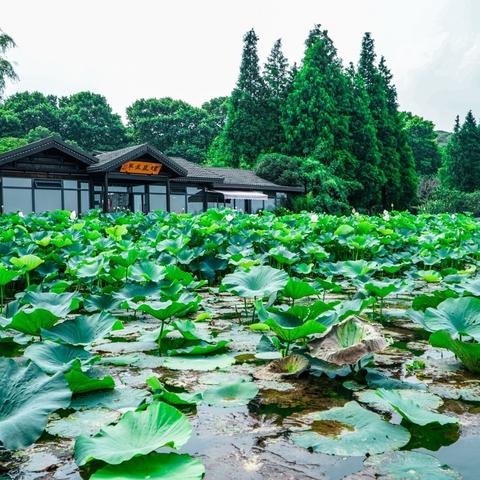 江苏无锡市旗袍店地址在哪里