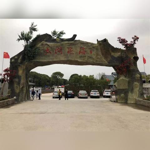 苏州市什么镇出名