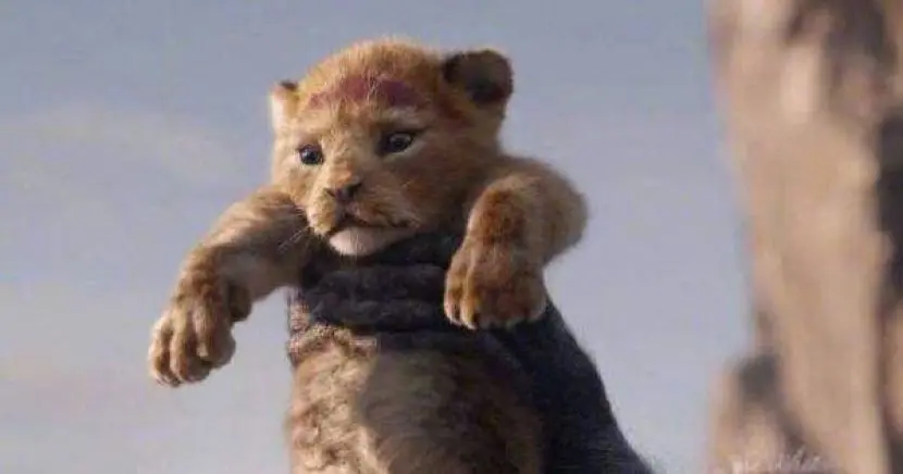 怎样找到自己的电脑IP号 如何查看自己电脑的ip号