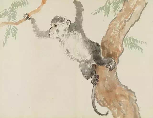 猪年犯太岁，戴对串珠好运自然来