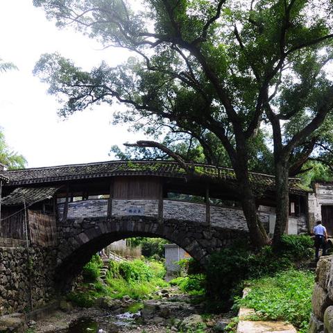 浙江宁波市有什么古桥