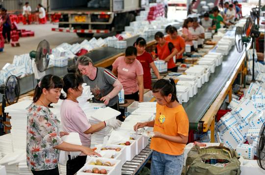 农民就业方式巨变！南下打工不再是唯一出路，农村挣钱备受追捧