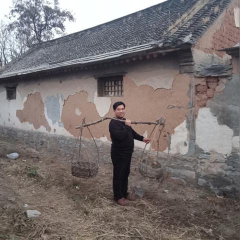 保定市哪里能摘柿子