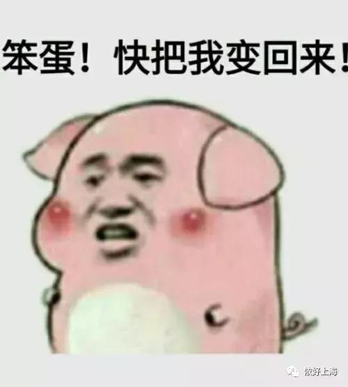 上海有什么美食啊（到上海一定要吃的10大美食）