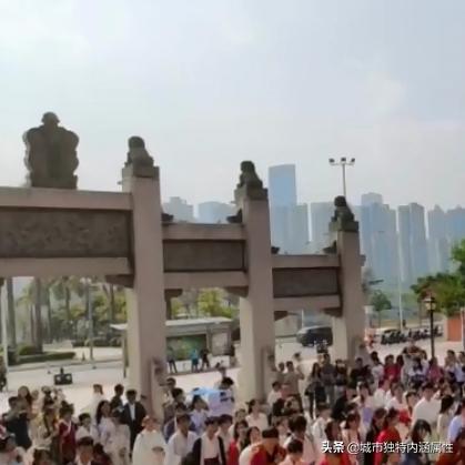 南宁市初三统考怎么查分