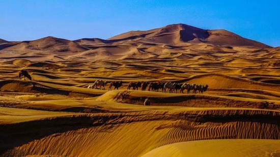 网络搭建教程(在面积较大的房子里如何组建家庭网络)