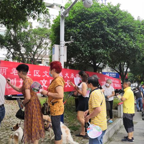 桂林市哪里有才犬卖