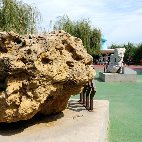 沈阳岛相关长尾关键词有哪些