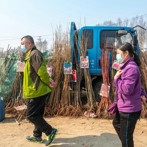 沈阳浑南祝家大集美食相关长尾关键词有哪些