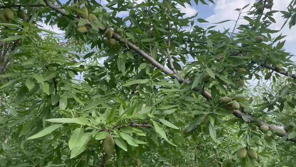 陕西挖坑
 ,陕西挖坑手机版