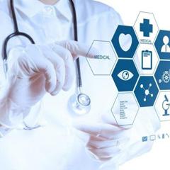 seo网络优化好学吗